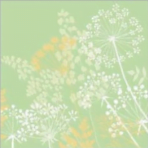 Airlaid, servietter Gordon 40x40 cm